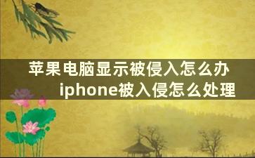 苹果电脑显示被侵入怎么办 iphone被入侵怎么处理